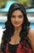 Vimala Raman Hot Photos